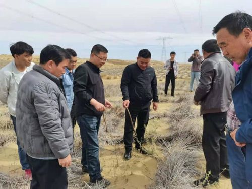 省林草局強化重點生態工程專項督查，保障建筑工程與生態保護協調發展